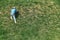 Playful boy goes up steep hill covered with lush grass