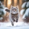 A playful British Shorthair kitty braves the snow. AI generated