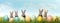 Playful bunnies with pastel pink blue yellow Easter eggs in green grass over clear sky