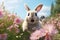 Playful bunny hopping through a lush field