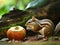 Playful chipmunk snacks on acorn