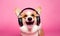 Playful corgi immersed in music. Created with AI