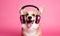 Playful corgi immersed in music. Created with AI