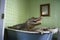 Playful Crocodile in the Bathtub Quirky Bathroom Decor