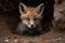 A playful and curious baby fox exploring its den. Generative AI