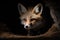 A playful and curious baby fox exploring its den. Generative AI