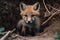 A playful and curious baby fox exploring its den. Generative AI