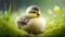 A Playful Cute Fluffy Duckling\\\'s Day Out in the Meadow. Generative AI