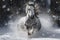 Playful Cute horse in winter snow. Generate Ai