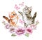 Playful Cute kittens in a flower arch. Watercolor illustration