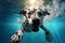 A playful dalmatian leaps into a pool by Generative AI