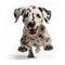 Playful Dalmatian Puppy Leaping with Joy on White Background