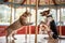 a playful dog chasing a cat on a carousel