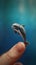 A Playful Dolphin Perched on a Finger in a Realistic Painting .