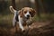 A playful and energetic Beagle chasing a ball, showing off its high energy and playful nature. Generative AI