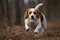 A playful and energetic Beagle chasing a ball, showing off its high energy and playful nature. Generative AI