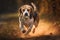 A playful and energetic Beagle chasing a ball, showing off its high energy and playful nature. Generative AI