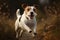 A playful and energetic Jack Russell Terrier jumping for a toy, showing off its playful and energetic nature. Generative AI