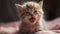 A playful, fluffy kitten with charming striped fur yawns lazily generated by AI