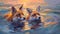 Playful Foxes Swimming At Sunset: Realistic Portrait Painting