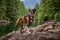 Playful and Funny Boxer Dog standing by the river