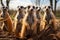 Playful and funny meerkat family, adorable antics in their habitat