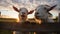Playful Goats on Rustic Farm Fence in Picturesque Countryside