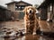 A playful golden retriever in a muddy street