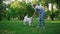 Playful golden retriever pulling leash. Owner playing with harness in park.