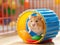 Playful Hamster Adventure: Golden Fur and Colorful Fun