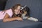 Playful happy Australian shepherd dog lying play with owner girl