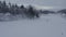 Playful horse in winter lanscape on a ranch