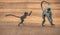 Playful Indian Langoor baby and mother at Tadoba Tiger reserve Maharashtra,India