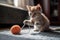 playful kitten batting yarn ball around the living room