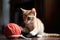 playful kitten batting yarn ball around the living room