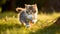 A playful kitten chasing a ball of yarn. AI Generative