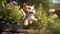 Playful Kitten in Mid-Air Leap: Garden Adventure in Pixar-Inspired 3D Style with Depth of Field, Generative AI