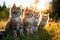 Playful Kittens. Cute Feline Companions Exploring. AI Generative