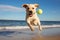 playful labrador puppy jumping to catch tennis ball on the beach, ai generated