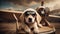 A playful Labrador puppy wearing a tiny aviator hat and goggles, sitting in a cardboard airplane