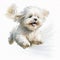Playful Maltese Puppy in Watercolor: A Fun and Energetic Portrait Perfect for Your Creative Projects