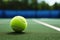 Playful match unfolds on a green tennis court with a ball