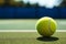 Playful match unfolds on a green tennis court with a ball
