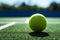 Playful match unfolds on a green tennis court with a ball