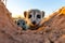 Playful Meerkat Family Peeking Out of Burrow