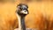 Playful Ostrich Staring Out: A Daz3d Inspired Artwork