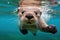 Playful Otter cute underwater. Generate Ai