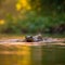 Playful Otter Family in Lush Green River at Sunset