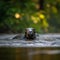 Playful Otter Family in Lush Green River at Sunset