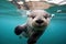 Playful Otter underwater. Generate Ai